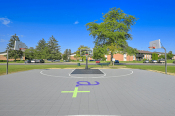 A basketball court with a purple and green symbol painted on the ground.